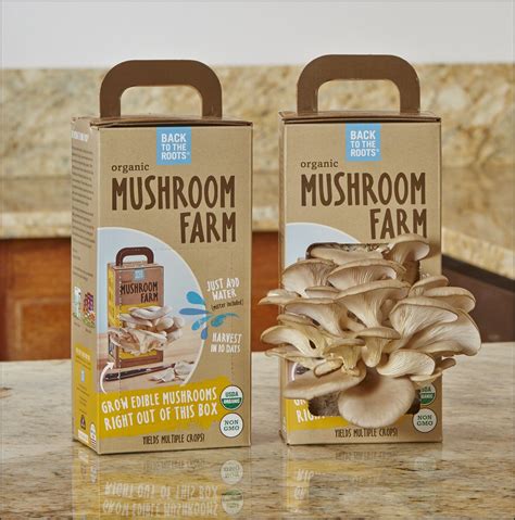 Are mushroom grow kits legal in canada
